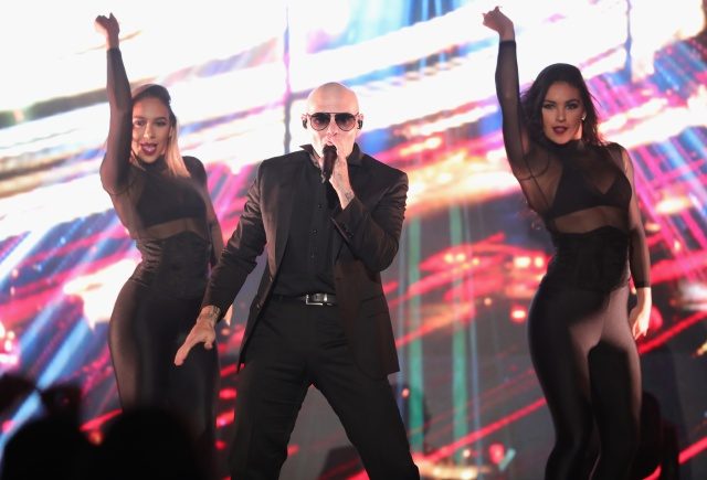 pitbull