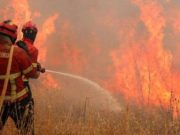 Andalucía ofrece a Portugal efectivos del Plan Infoca para sofocar el incendio del Algarve